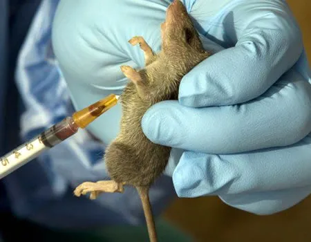 Lassa Fever Obaseki