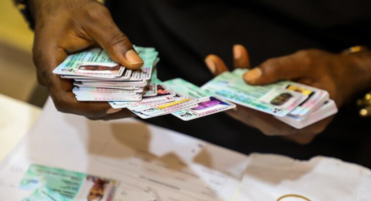 PVC Collection Begins Today, Moves To Ward Level