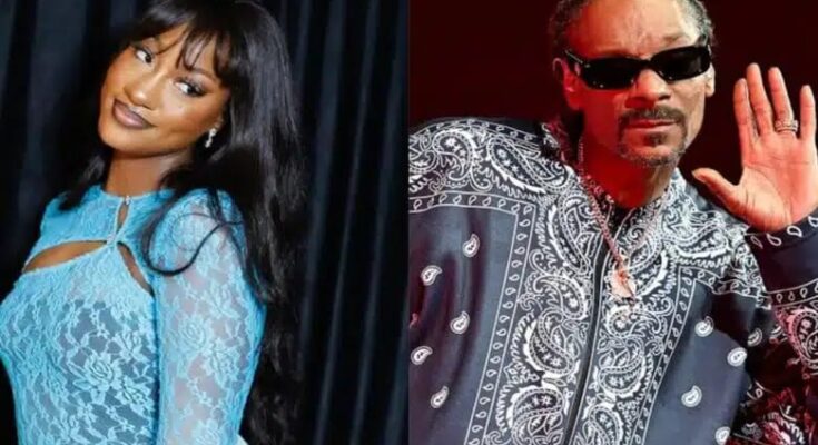 Tems React As Snoop Dogg Reaches Out To Her For Collaboration