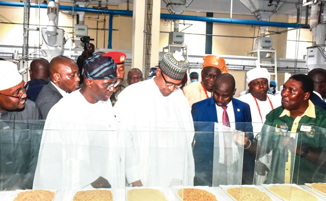 The birth of Africa’s largest rice mill in Imota