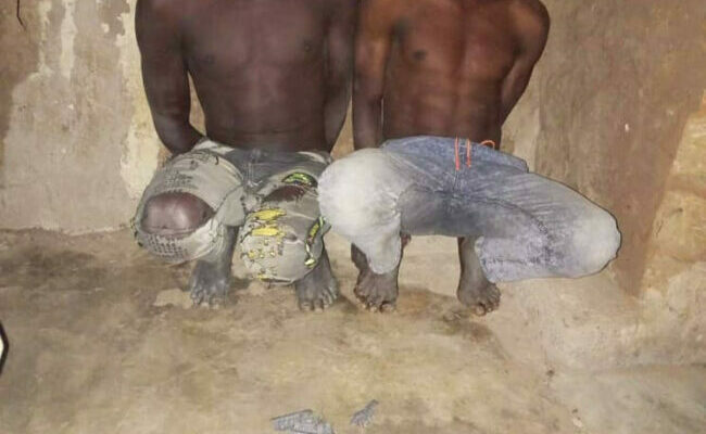 Vigilantes group arrest 5 terrorists in Bauchi