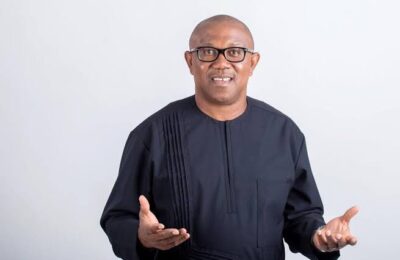 2023 election: SDP declares support for Peter Obi