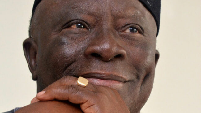 Adebanjo wades into LP leadership tussle