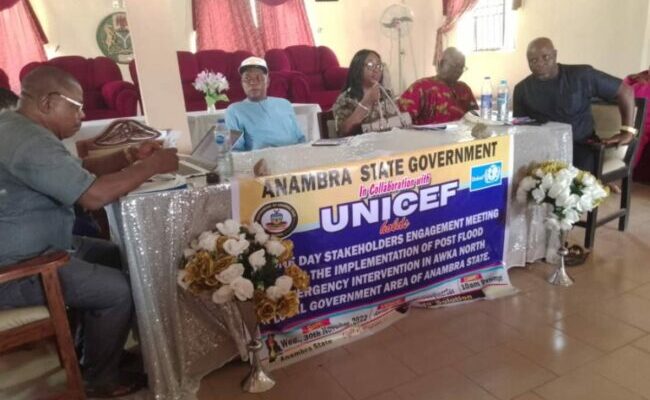 Anambra, UNICEF offer free healthcare to flood-affected