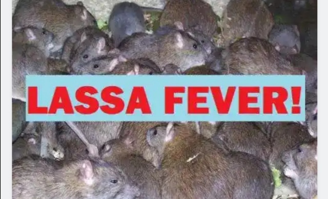 Benue Confirms Two Deaths, 17 Cases Of Lassa Fever