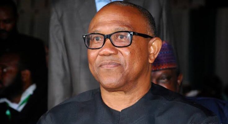 Confusion in SDP as party elements battle over Peter Obi’s endorsement