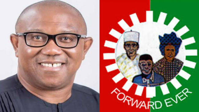 Edo LP senatorial candidate urges voters to back Obi, others