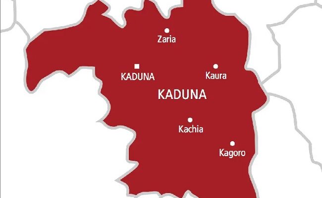 Eleven LGAs in Kaduna at risk of electoral violence — FIDA 
