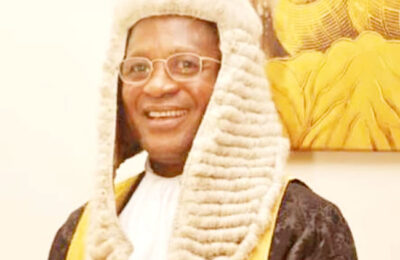 Emeka Ozoani (SAN): The dogged lawyer