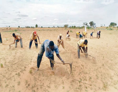youths APPEALS farmers farmer AFANv Stakeholders, NSPRI
