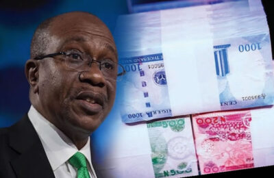 NESG suggests immediate action points in naira redesign policy