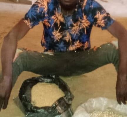 Police arrest suspected bandits' informant, food supplier in Niger