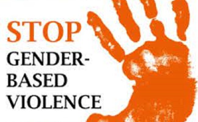 US govt exchange alumni lament increasing cases of GBV in Nigeria