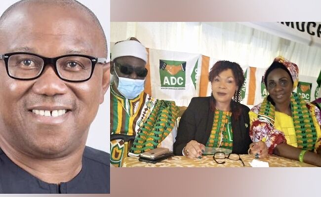 Why ADC endorsed Peter Obi for presidency — Official