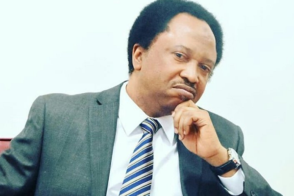 Ayu took PDP from Sodom to Gomorrah — Shehu Sani