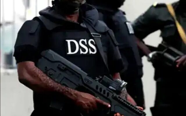 DSS Confirms Plot To Install Interim Government, Vows Seamless Inauguration