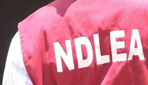 NDLEA Set To Collaborate With Pakistani Counterparts, Others Over Drug Trafficking