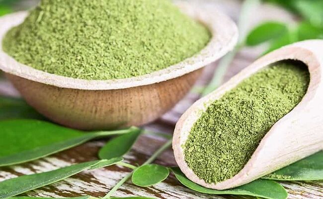 Why excessive intake of moringa can be fatal in healthy people — Study