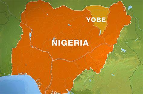 177 Suspected Cases, 10 Dead In Yobe