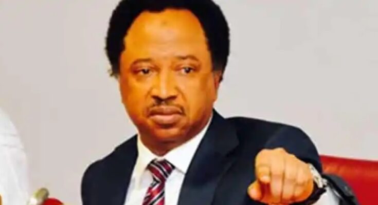 Binani: Declaration By Adamawa REC A Civilian Coup – Shehu Sani