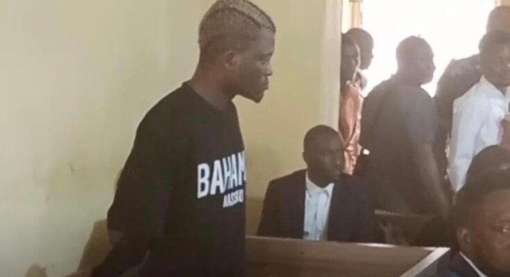 Court Grants Portable Bail For Assault, Theft