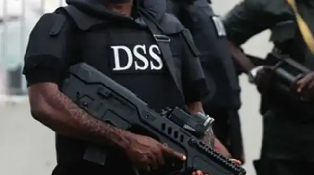 DSS' Claim Of Interim Government Plot Suspicious — PDP Chieftain, Odeyemi