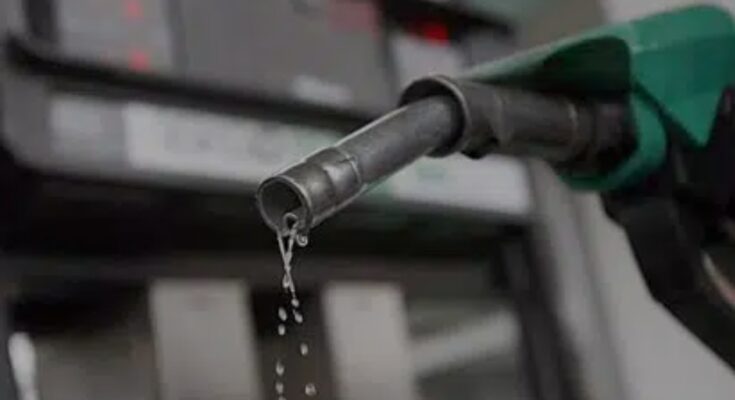 Elites Trying To Hoodwink Nigerians, Fuel Subsidy Will Not Be Removed