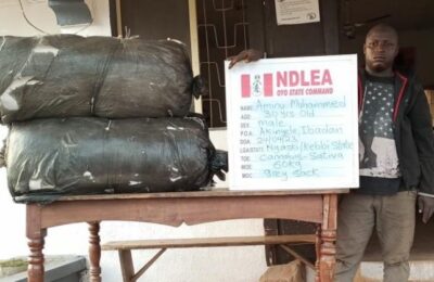 NDLEA Uncovers Factory In Adamawa, Supplying Akuskura To Cameroon, Chad