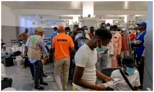 NEMA Receives New Batch Of 144 Nigerians Stranded In Niger Republic