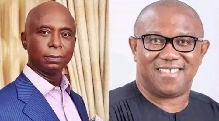 Petition Against Tinubu Is An Effort In Futility – Ned Nwok Slams Peter Obi