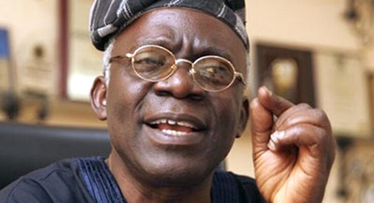 Three Years Imprisonment For Suspended Adamawa REC Isn’t Strict Enough – Falana