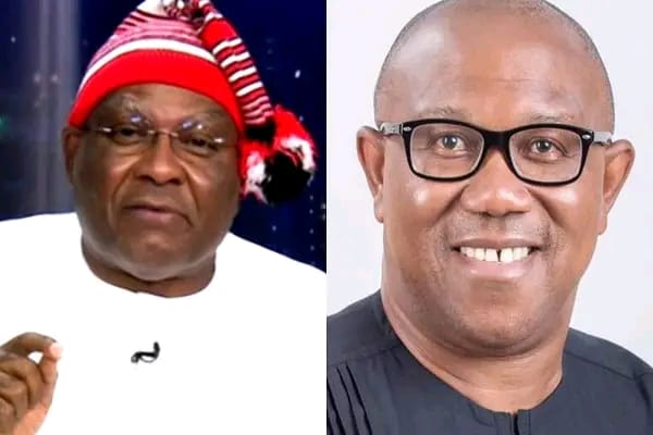 Withdraw Your Petition, Nnamani Tells Peter Obi