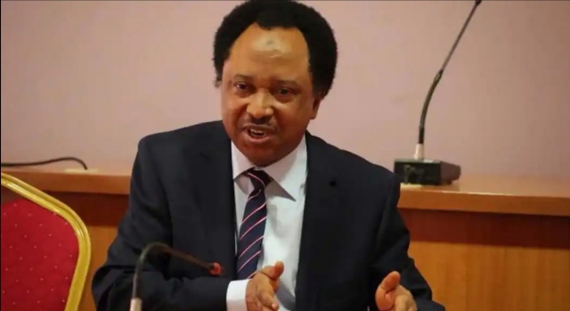I Will Fight Again Just As I Fought For Nigeria’s Democracy On June 12 – Shehu Sani