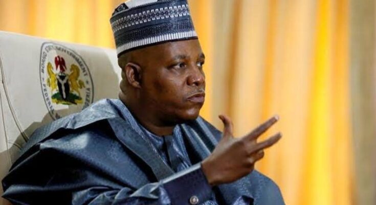 Islamisation: I Picked An Igbo Catholic As My Chief Security Officer – Shettima