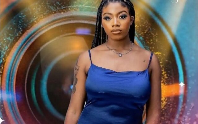 Leave Your Noisy Babies At Home Before Boarding Flights — Ex-BBN Housemate, Angel Smith