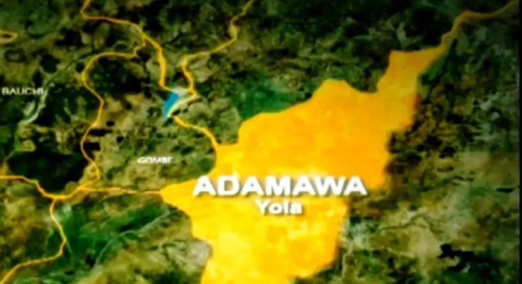 Man Arrested For Allegedly Kidnapping, Strangling Six-Year-Old Boy In Adamawa Over Unpaid Ransom
