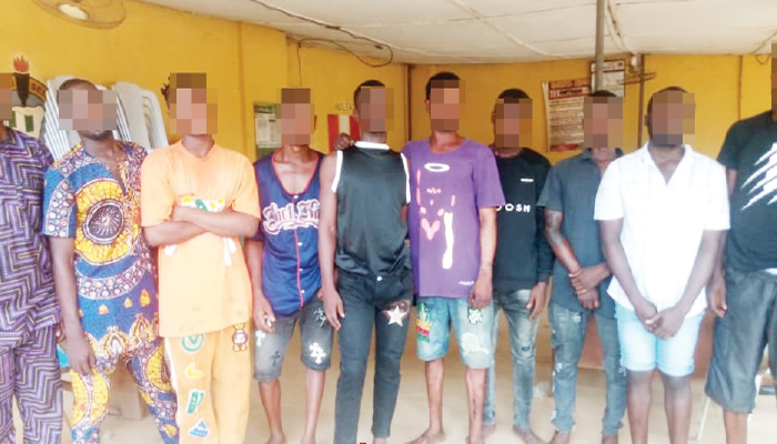 NDLEA Raids Ogun Drug Joints, Atrests 17 Suspects