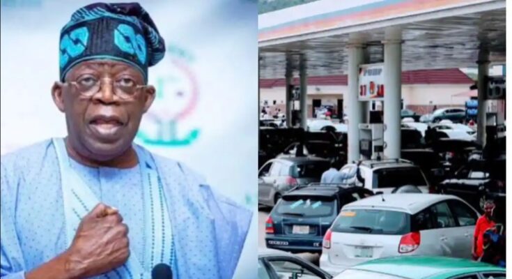 Ohanaeze, Arewa Youths Hail Tinubu Over Fuel Subsidy Removal Plan