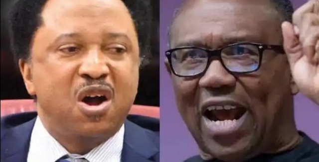 Quit Being Apologetic For What Obidients Do, Else You'd Kill The Movement —  Shehu Sani Tells Obi