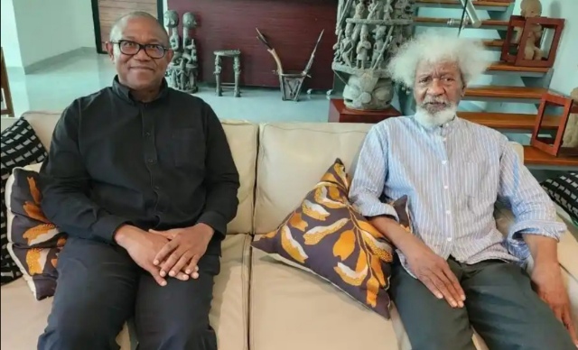 Wole Soyinka Reacts To Obi's Visitation, Says It's Not About Reconciliation