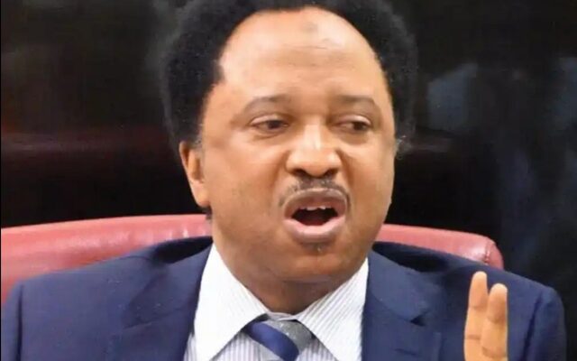 You Want Subsequent Presidents To Use Villa Clinic You Never Trusted, Patronised – Shehu Sani To Aisha Buhari