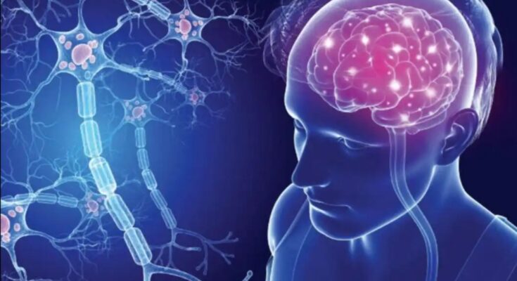 "10,048 Nigerians Have Brain, Spinal Cord Ailment" – Neurologists