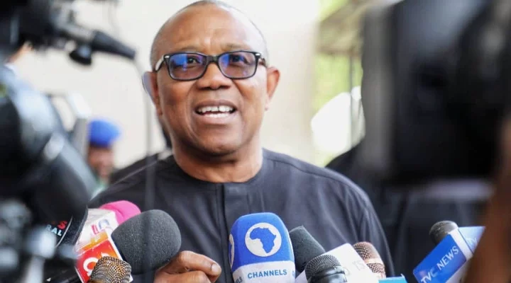 Anambra PDP Chairman Denies Saying Peter Obi Rigged Election