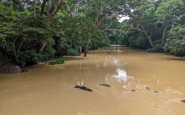 Osun River’s contamination poses risk to Southwest Nigeria – Urban Alert