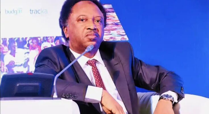 Put Your House In Order Or Expect 2015 Scenario – Shehu Sani Cautions APC