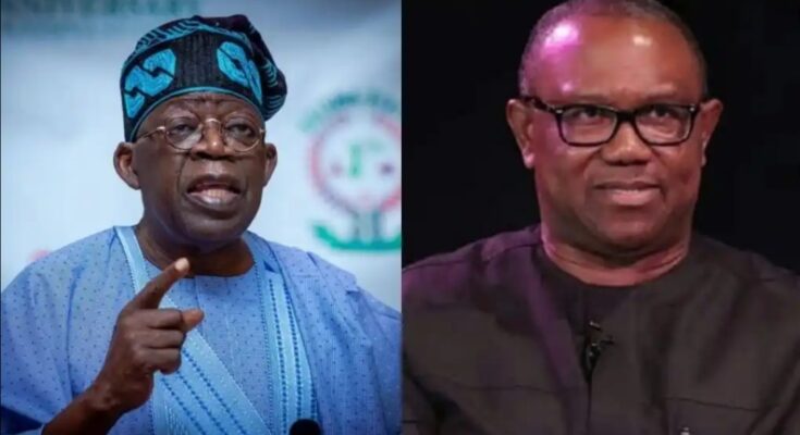 Tinubu’s Lawyers, INEC Object As Peter Obi, LP Present Channels TV Reporter As Witness At Tribunal