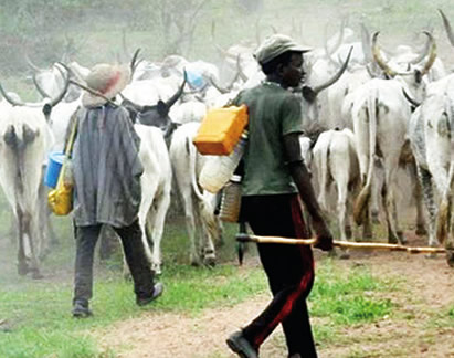 Don’t resort to self help, OPWS Commander advises fulani herdsmen