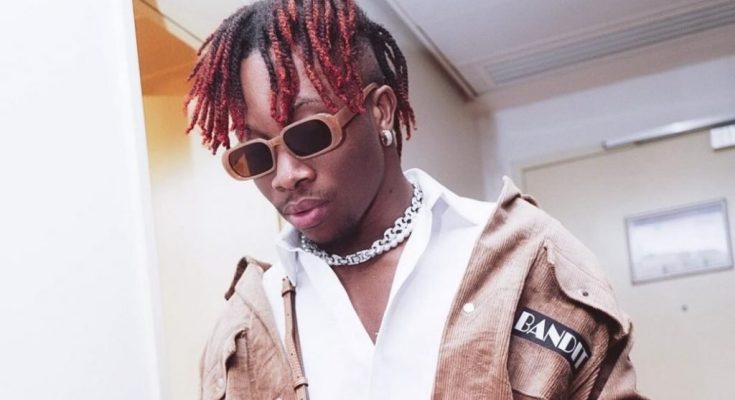 "I Really Wish I Sang Some Of Omah Lay, Fireboy’s Songs" – Oxlade