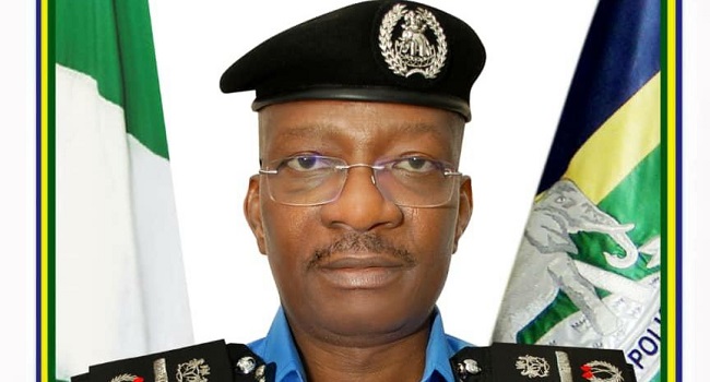 I feel like lion ready to devour enemies — Acting IGP, Egbetokun