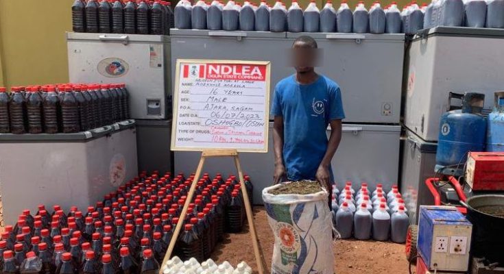 NDLEA Destroys Drug Factory In Ogun, Arrest Suspect